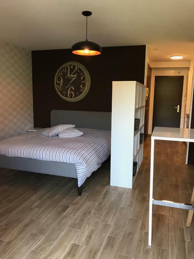 Large Studio Near Epfl And Lausanne City Center Ecublens  Exteriör bild